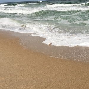 Meet your Posher, Lara